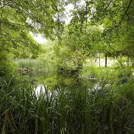 Vila Un Petit Coin De Campagne Dans Le Pays De Saint-Gilles Exteriér fotografie