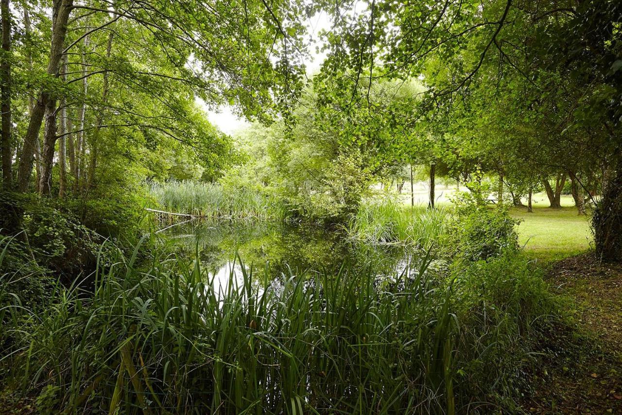 Vila Un Petit Coin De Campagne Dans Le Pays De Saint-Gilles Exteriér fotografie